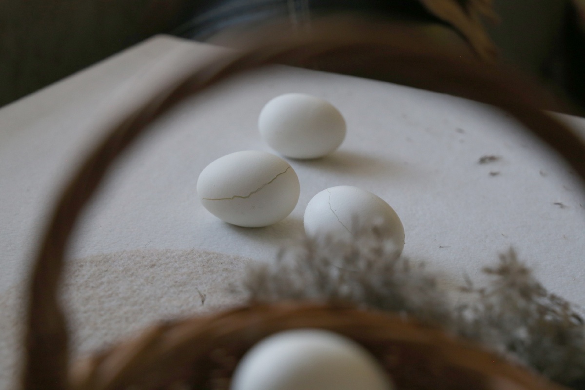 Нам нужны белые яйца