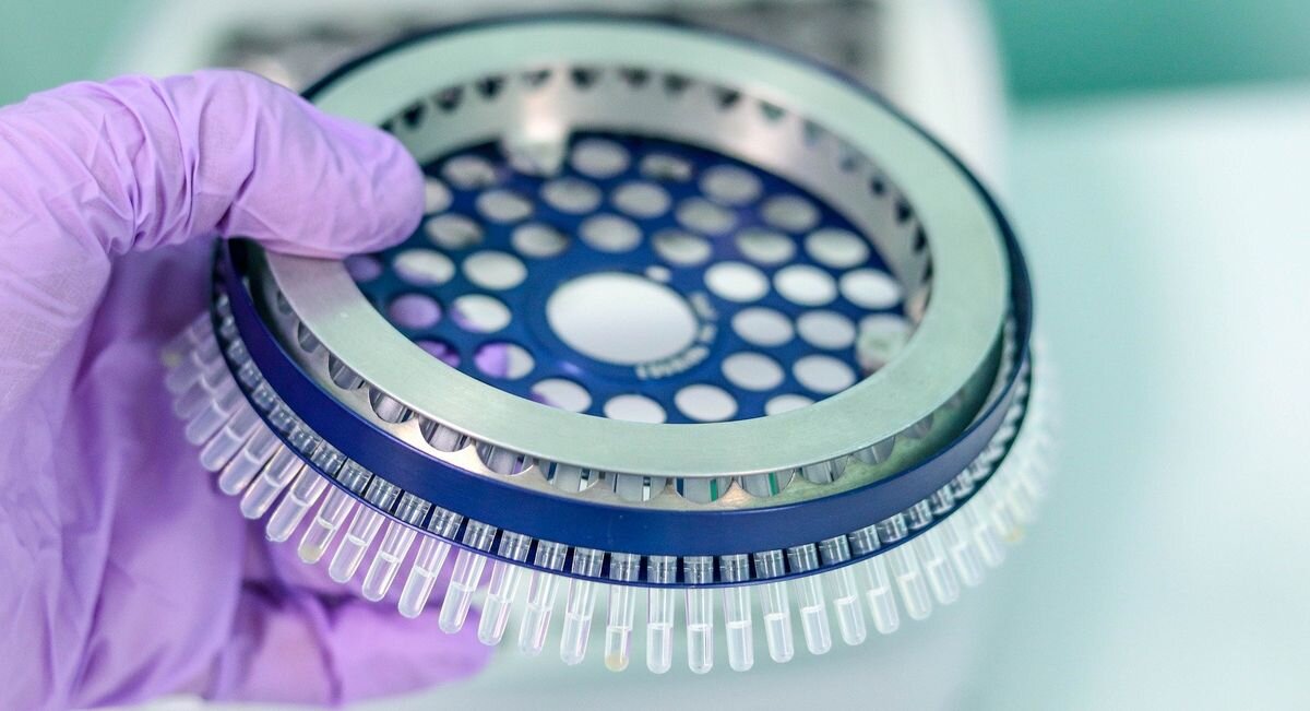 Фото: pixabay.com