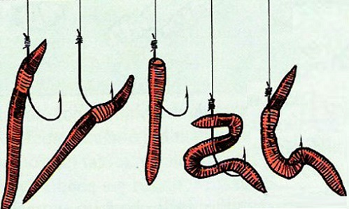 Изображение взято из открытых источников.