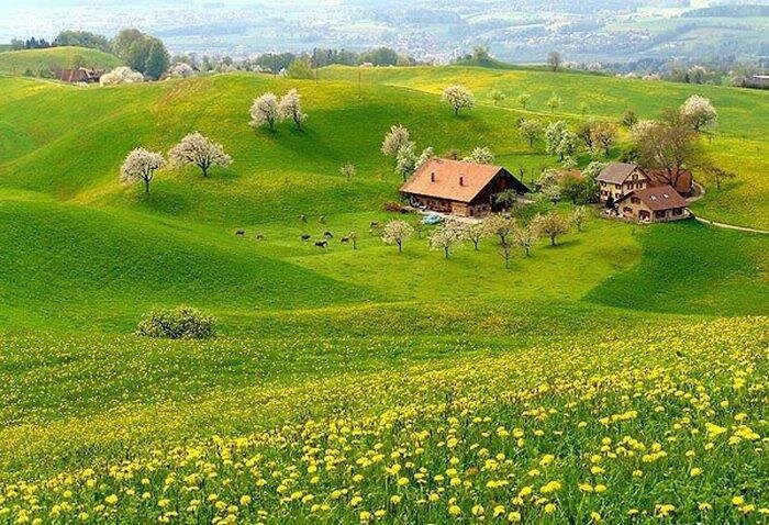 Картинка из Яндекса.