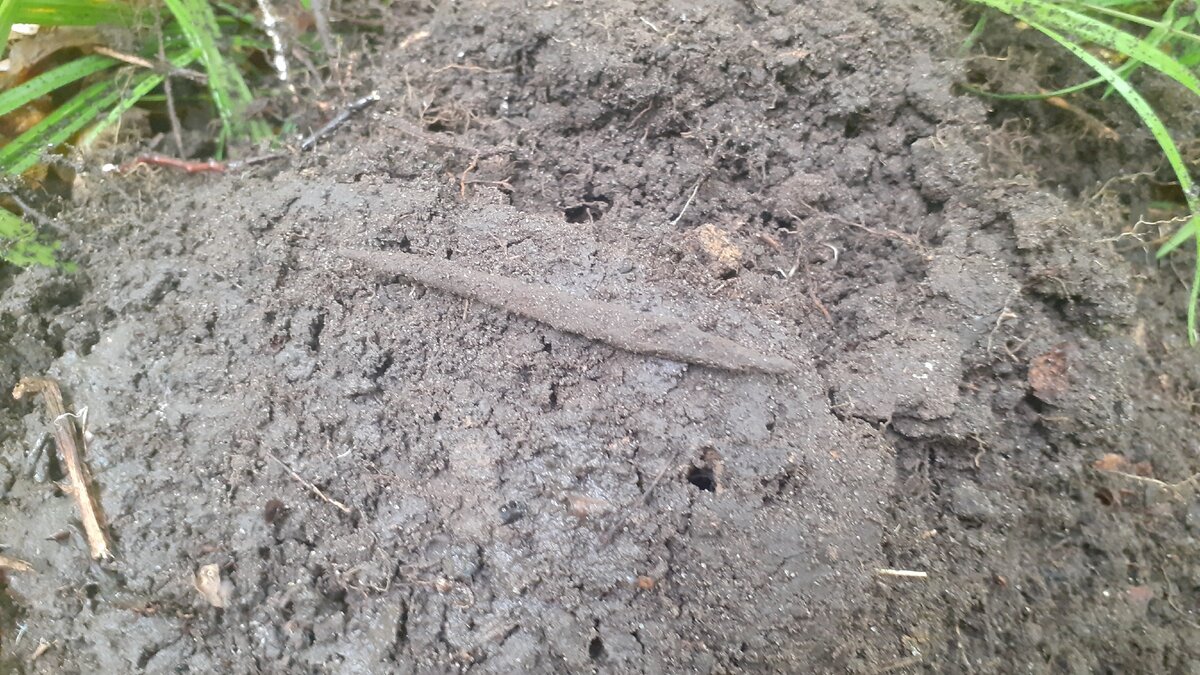 Хазары, 8-10 век.