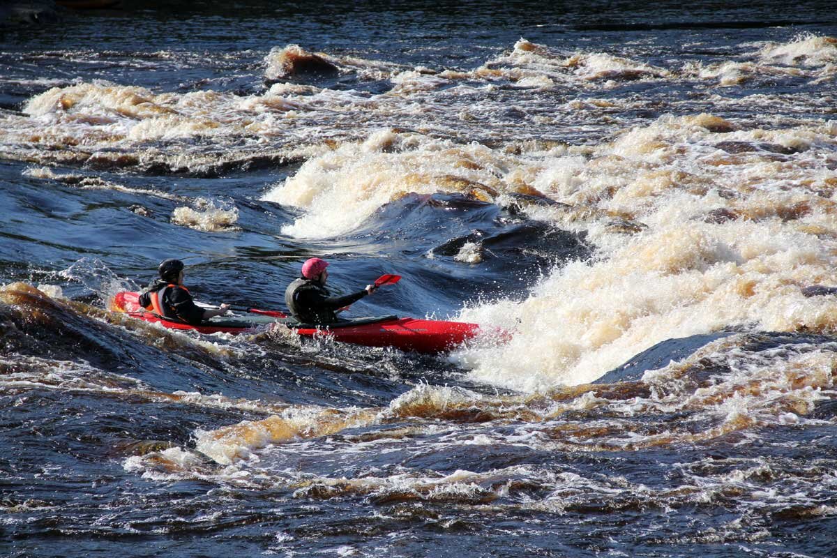 *фото из интернета