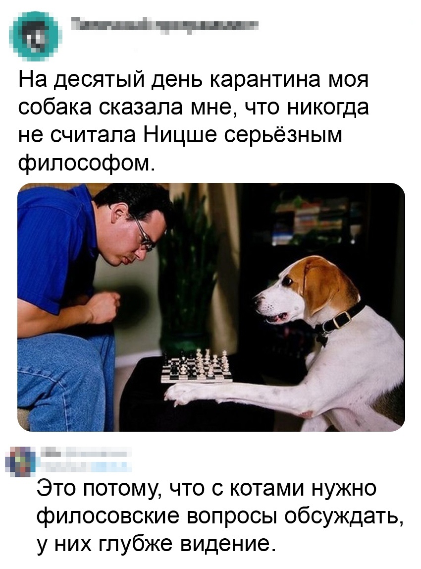 Юмор конечно повысился сильно в период изоляции ;)