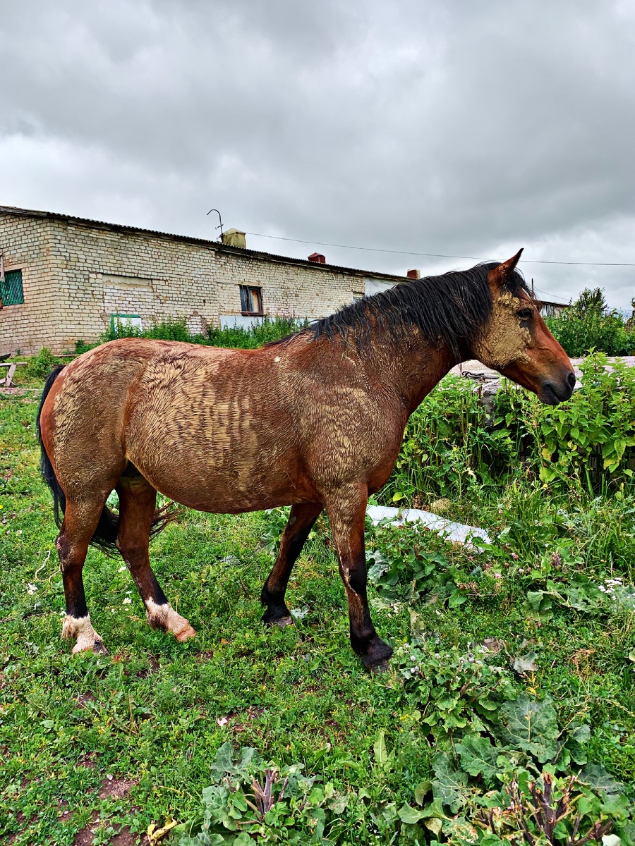 Тут тоже есть своё SPA