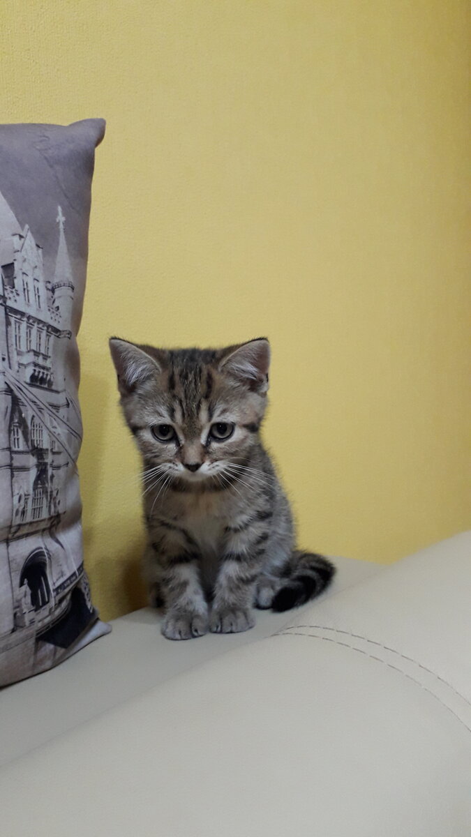 Первый день дома