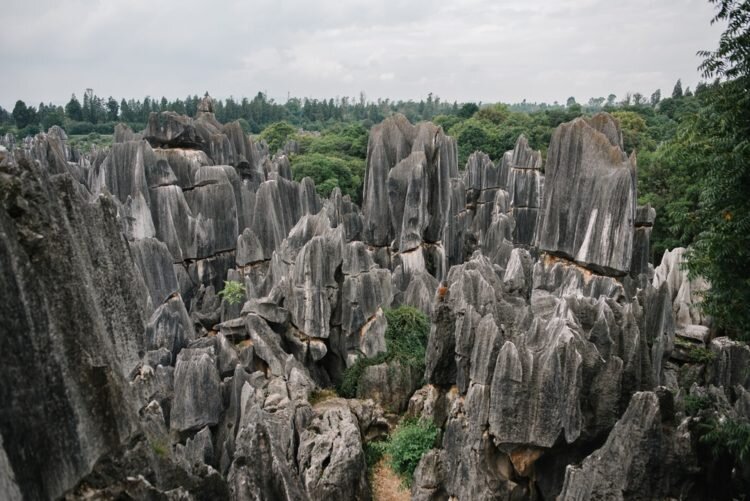 Каменный лес Шилинь. Каменный лес Шилинь в Китае фото. The nature is also