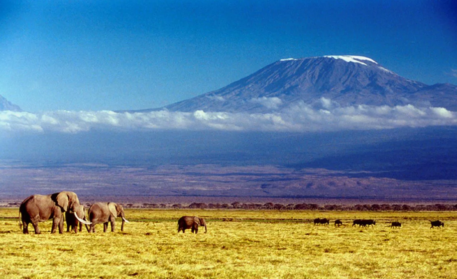 Ледник в центре Африки? Есть, это Килиманджаро