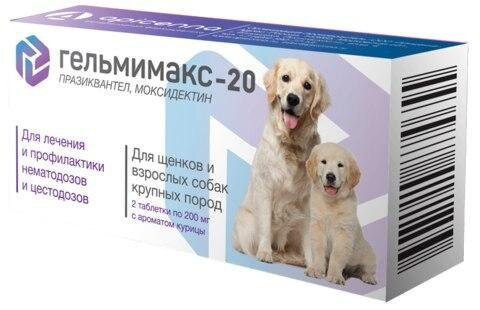 FidoPharm: первый дженерик для профилактики дирофиляриоза у собак