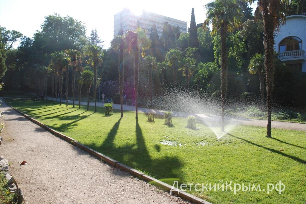 Кипарисная аллея в Мисхорском парке