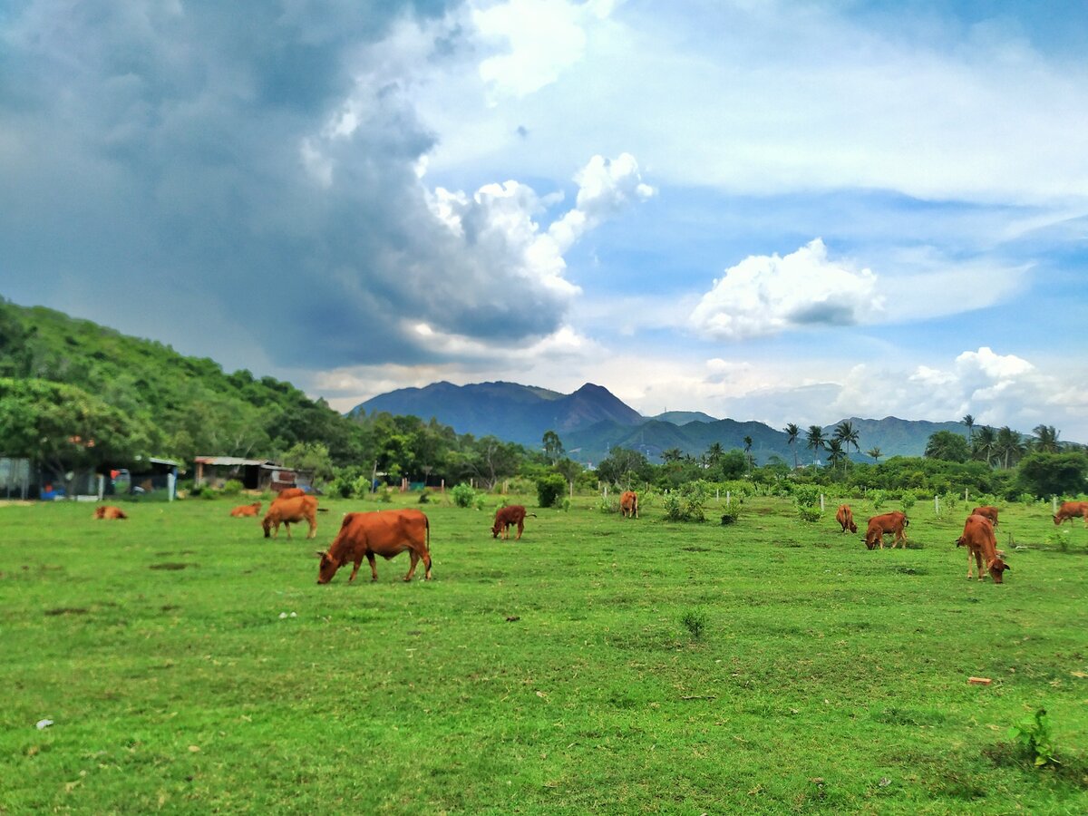 окрестности города Нячанг