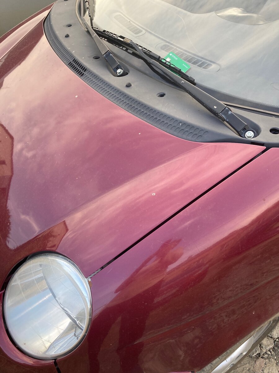 Личное. И карта, и Борька.