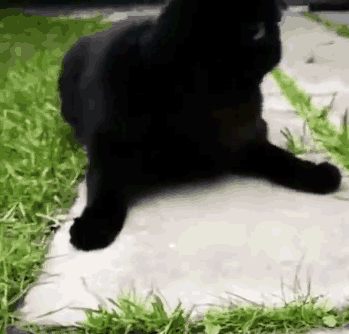 нажмите на картинку и она задвигается