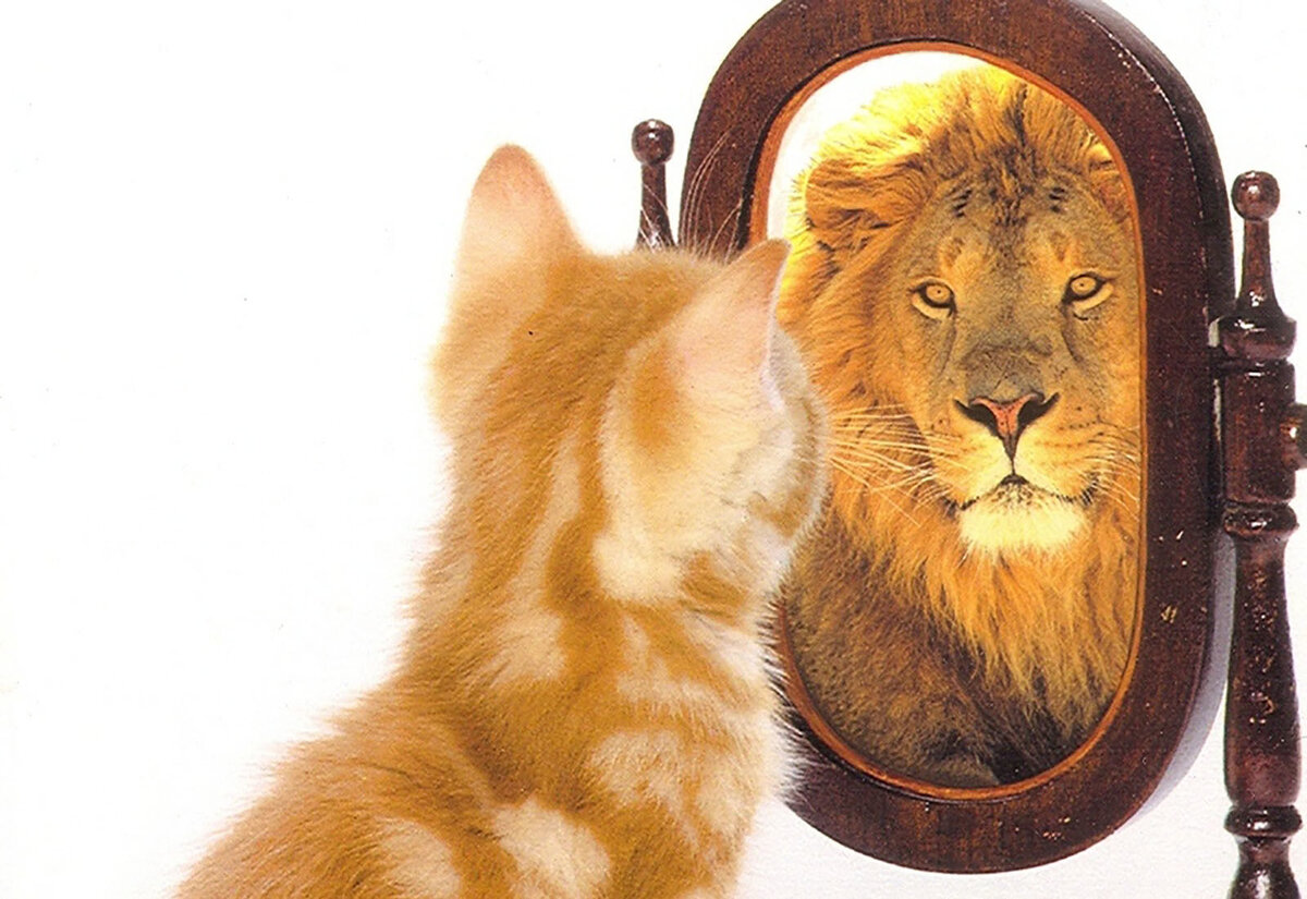 Источник: Яндекс картинки 