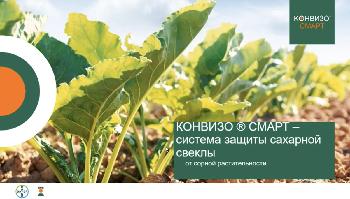 Фото: Александр Дворянкин