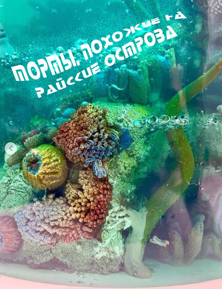 Торты, похожие на райские острова