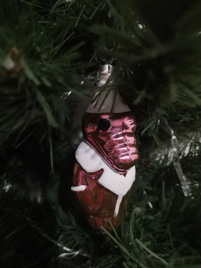 Фото принадлежит редакции 