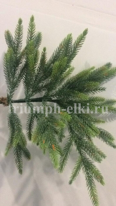 Фото ветки ели Королевской премиум Triumph Tree из 100% ре резины