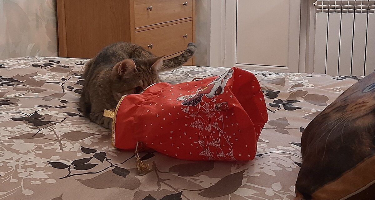 Мешок – это не коробка, но все равно интересно проверить, что внутри!