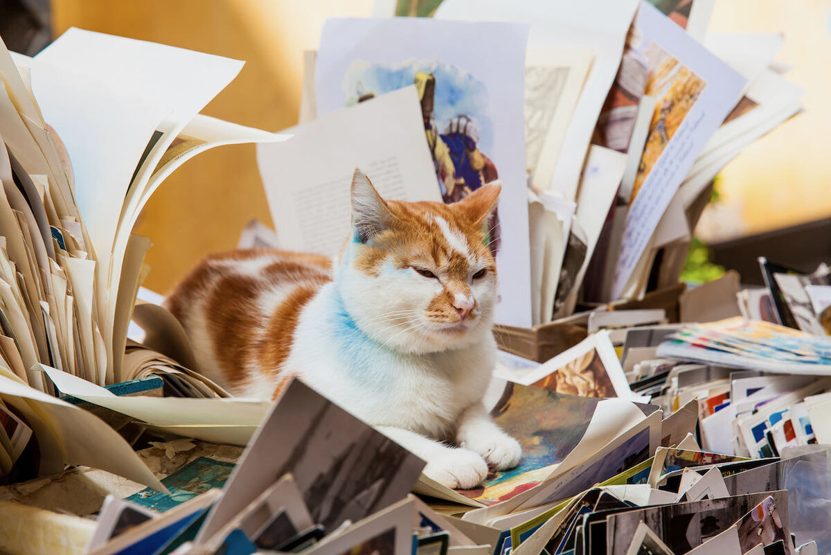 © Anamaria Mejia / Shutterstock