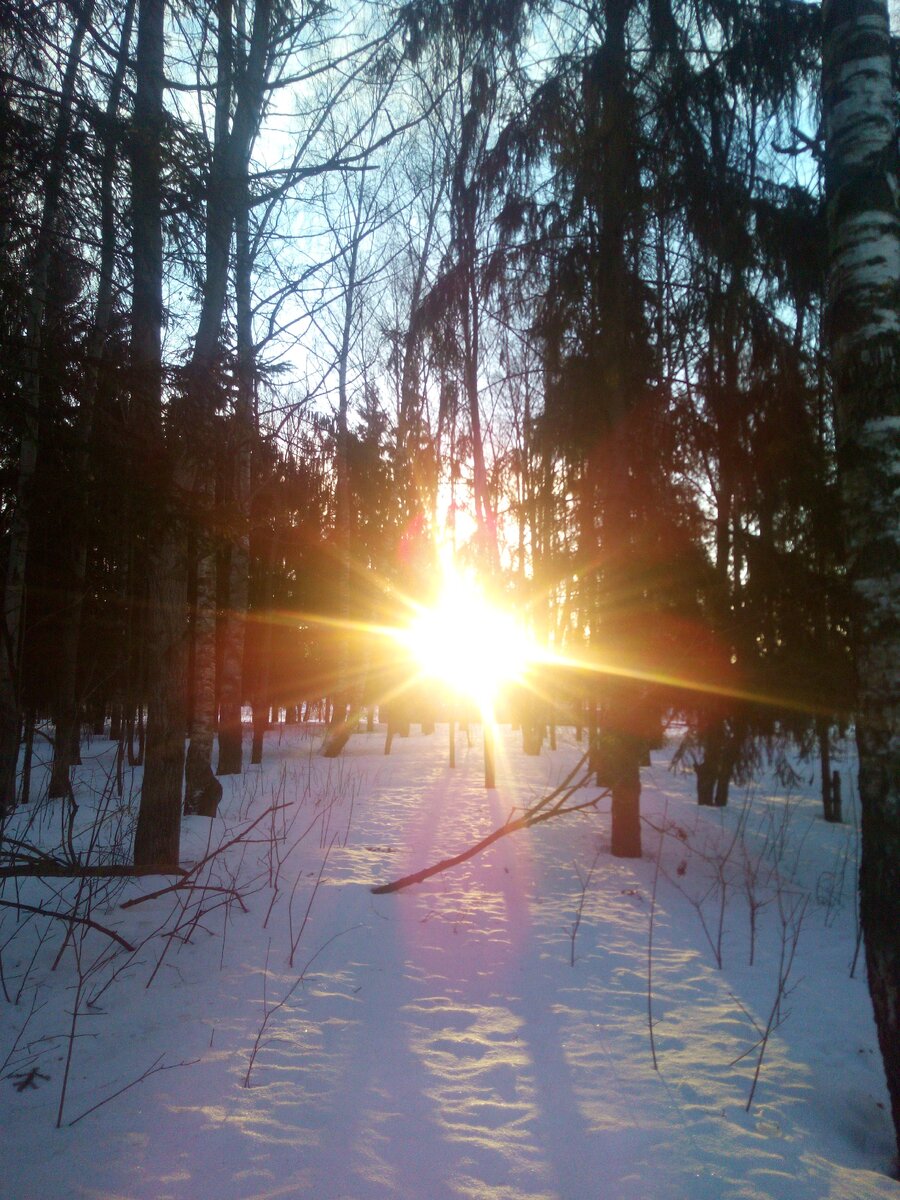 Звезда светит каждому, кому нужен свет