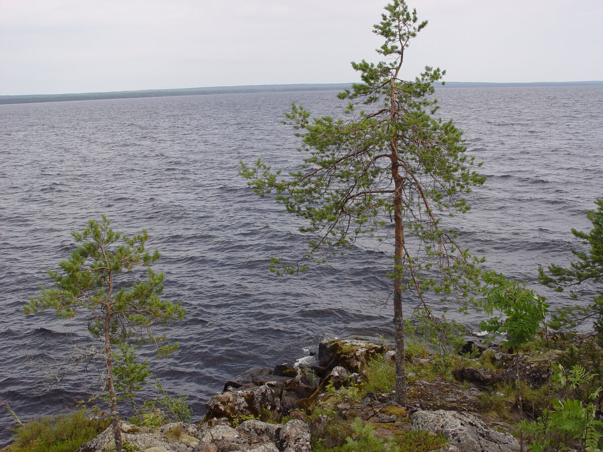 Онега