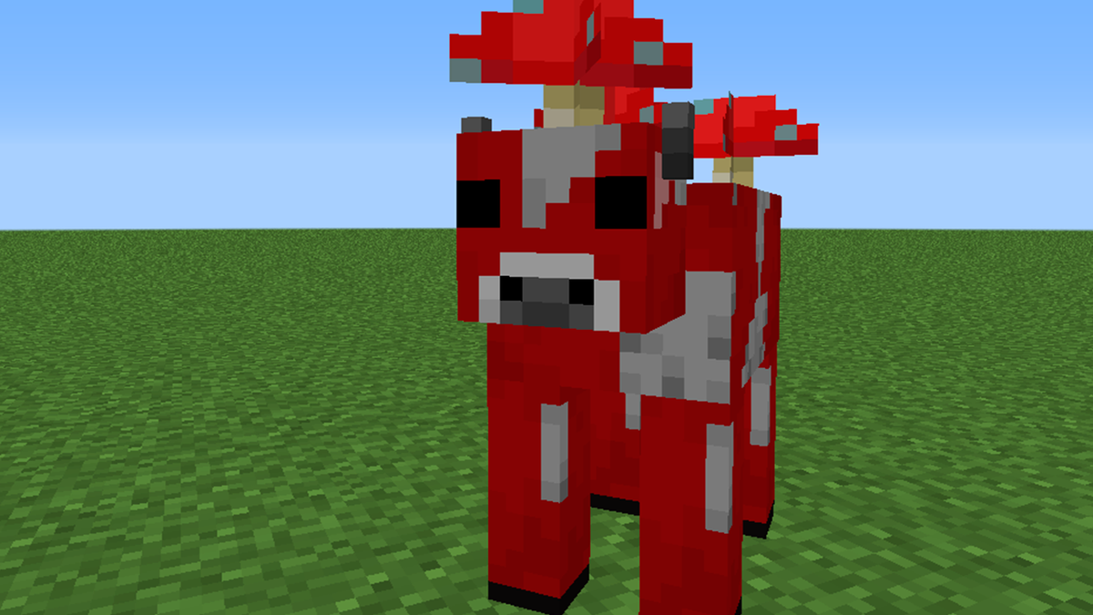 Фото автора канала. Превью.