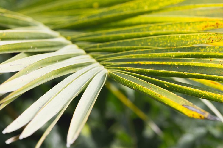 Изображение из открытого источника 