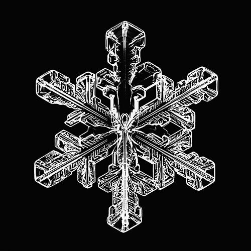 Молекула воды