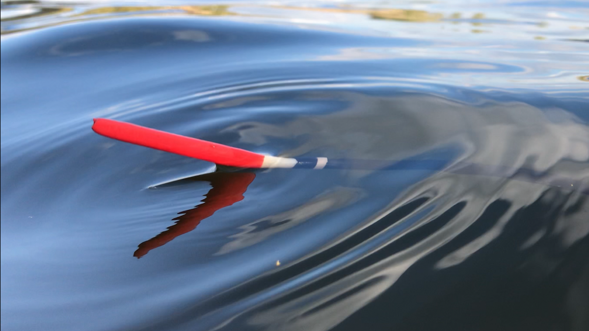 Поплавок из гусиного пера