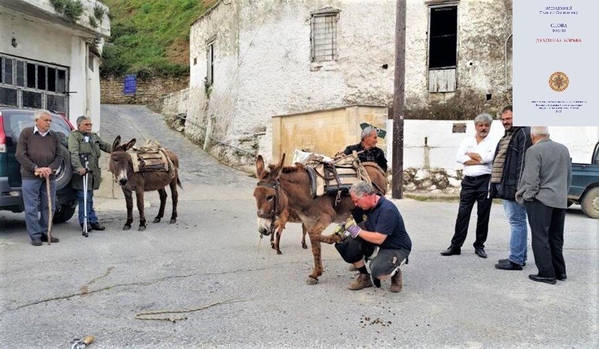 В третьем томе «Слов» преподобного Паисия Святогорца «Духовная борьба» святой старец рассказывает: 