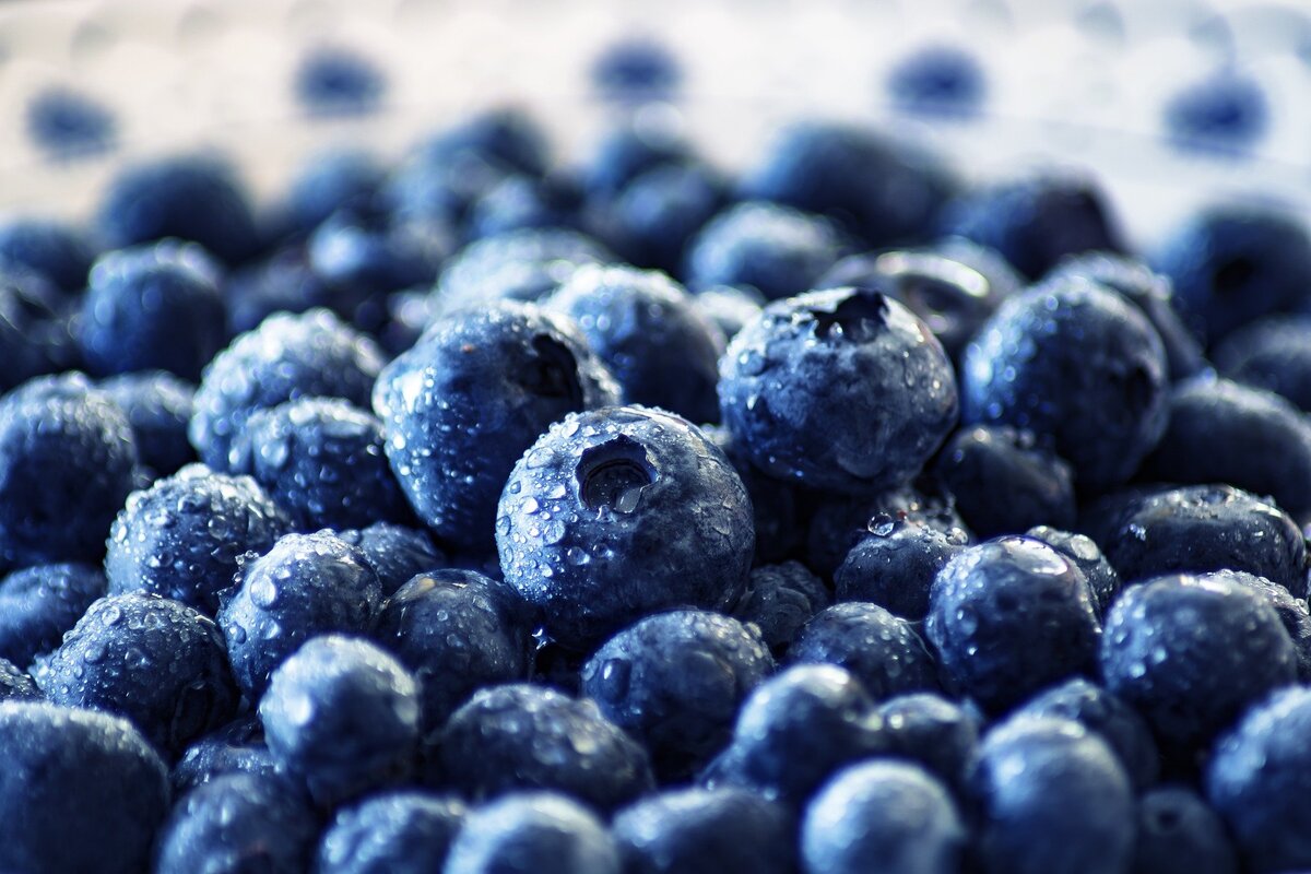 Фото: pixabay.com