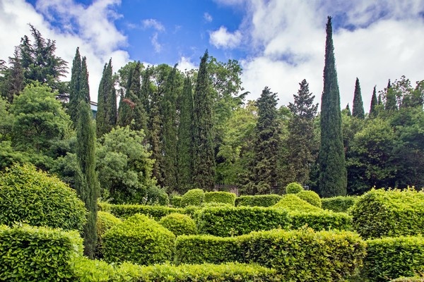 Мы всему придаём какую-то форму и значение ...  на какое-то время.  Иногда это приятно впечатляет, особенно если неплохо получилось ...  

Крым, Алупка, Воронцовский парк ...

  