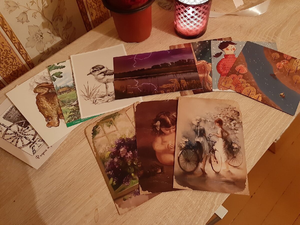 Кошек действительно нет. 