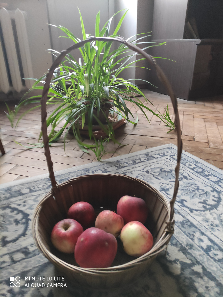 Это сейчас так.  Когда только приезжаю, корзинка полная.  Сейчас остальные яблоки в холодильнике.