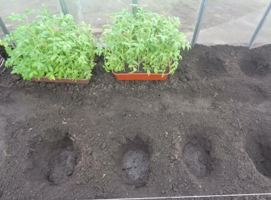 Добавьте описание