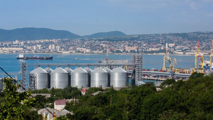 фото: pixabay.com