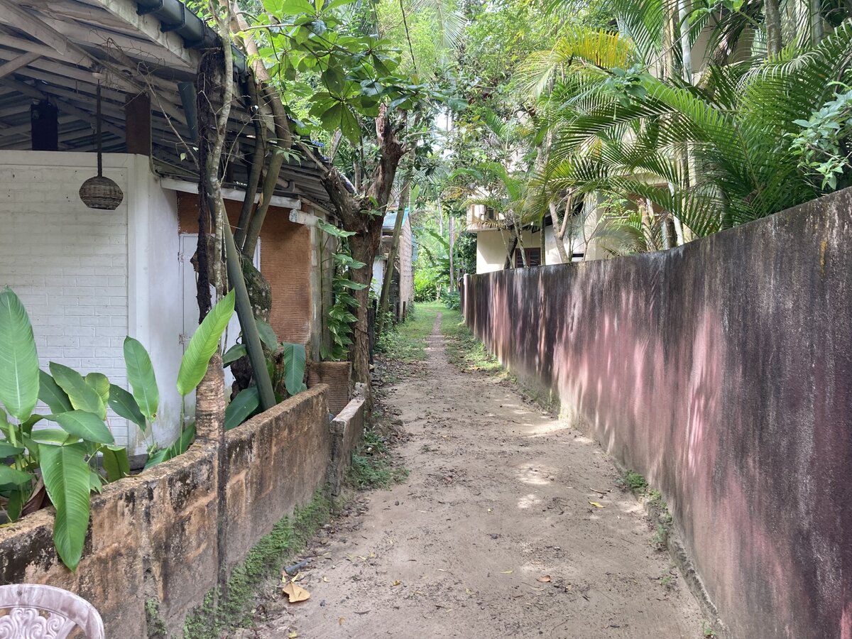 Простое бюджетное жилье в джунглях и пятиминутной ходьбы от моря.