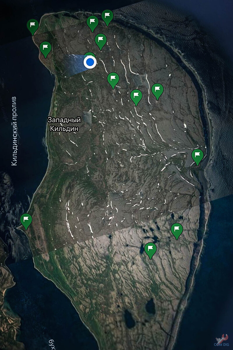 Скриншот снимка спутниковых карт. 