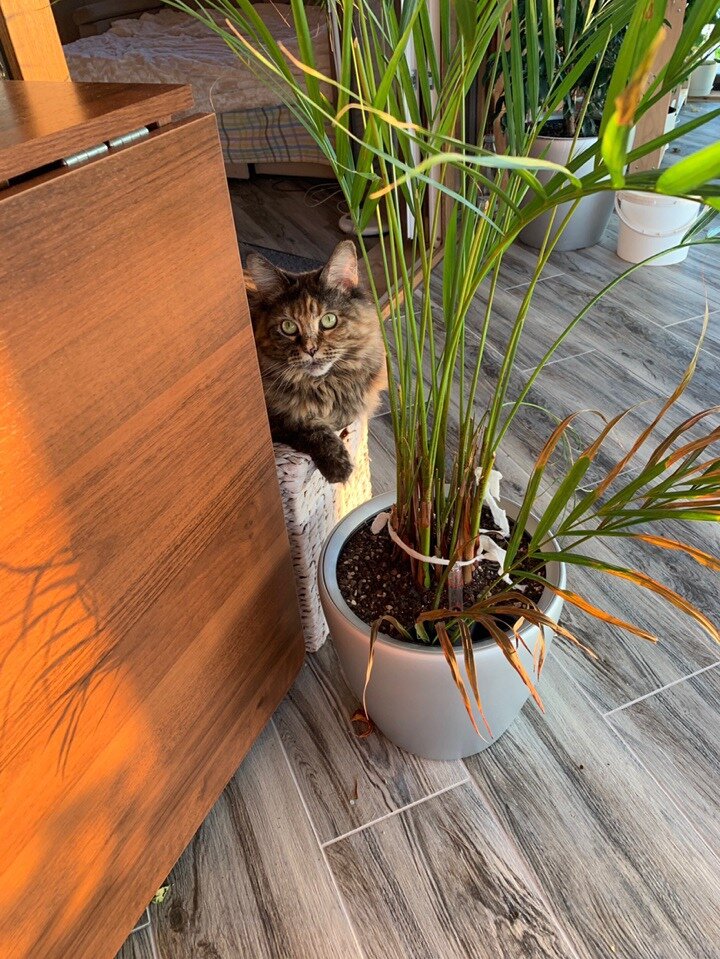 Фото из личного архива.