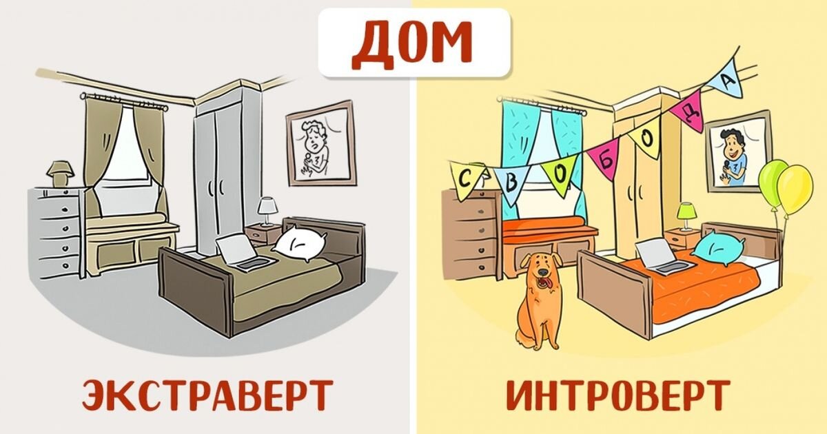 глазами интроверта