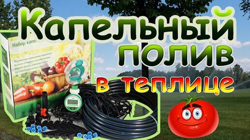 Преимущества капельного полива в теплице