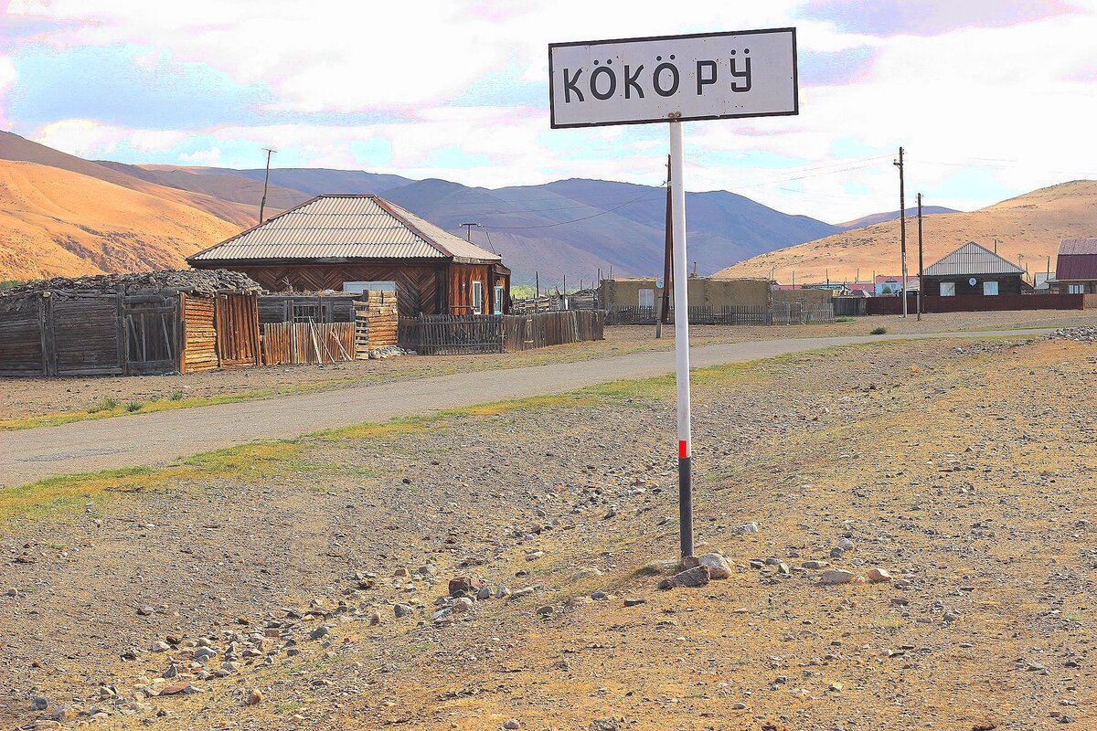 Начинаю учить алтайский язык. Это - Кокоря. Фото: Виктория Минаева. 