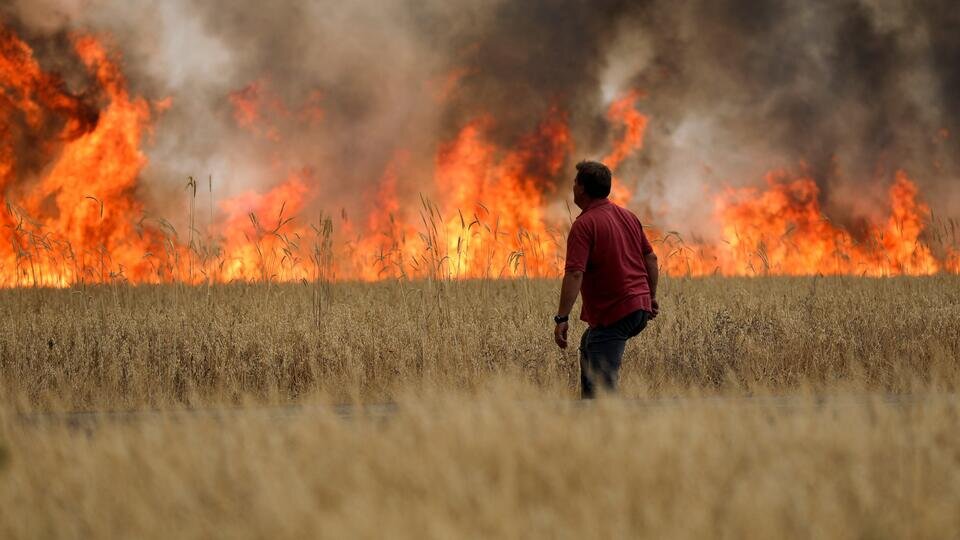 Фото: © REUTERS/Isabel Infantes