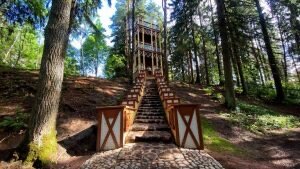 Фото: предоставлено организаторами 