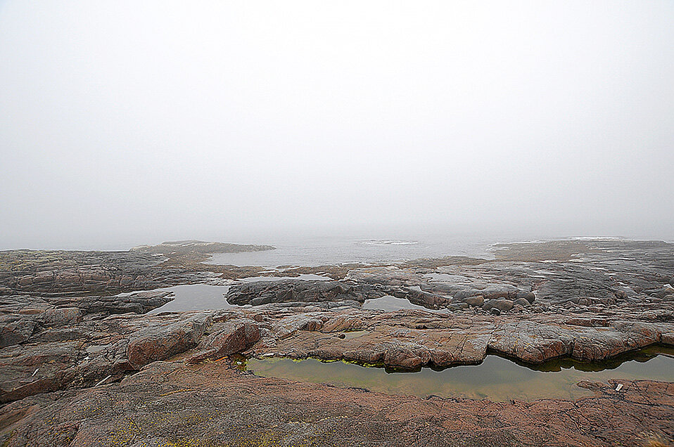 Туман, туман...
