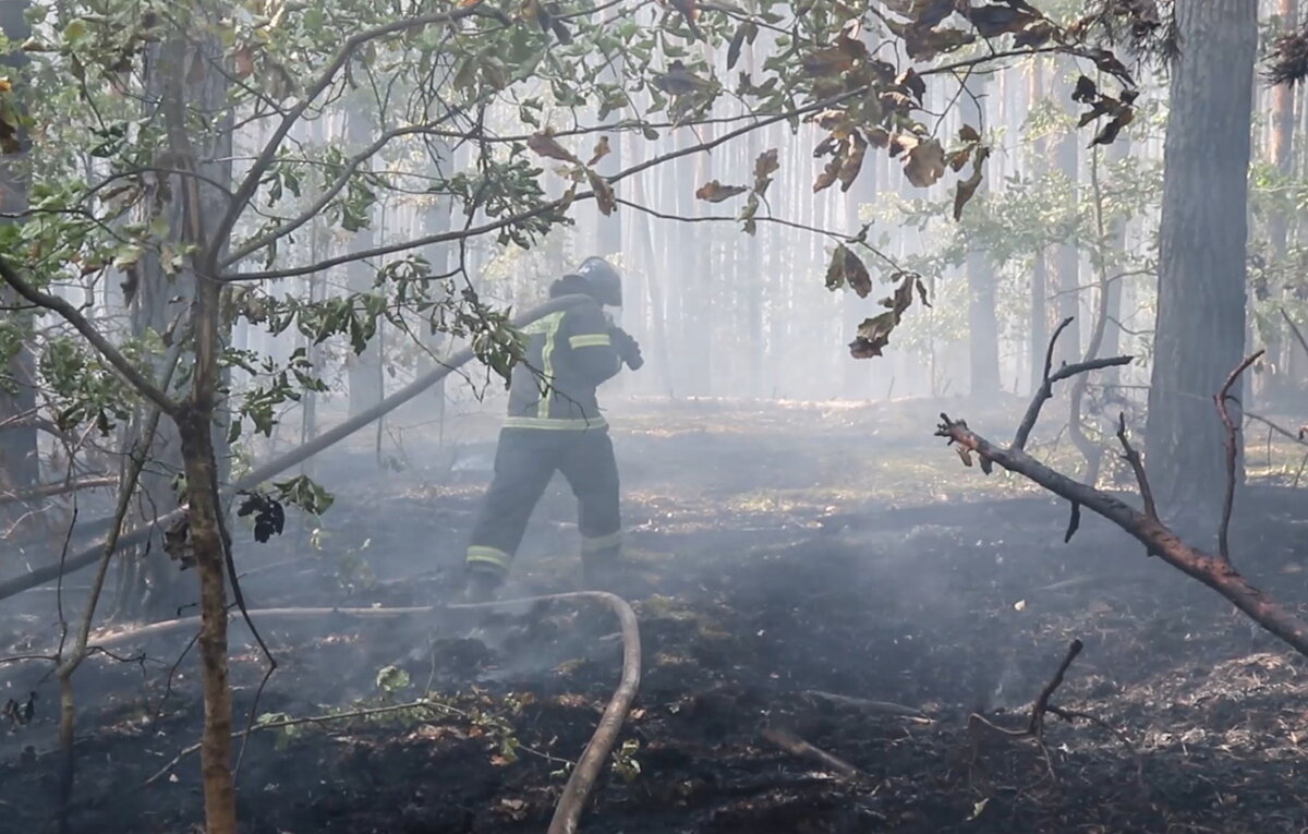 МЧС России/ТАСС