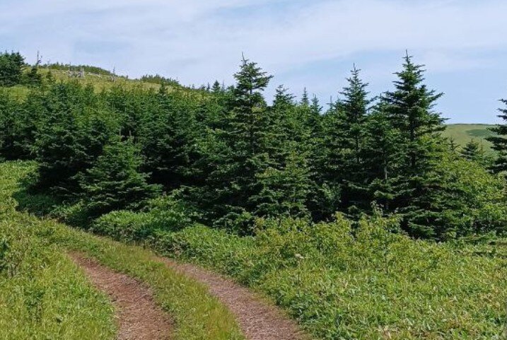 Личное фото автора. 