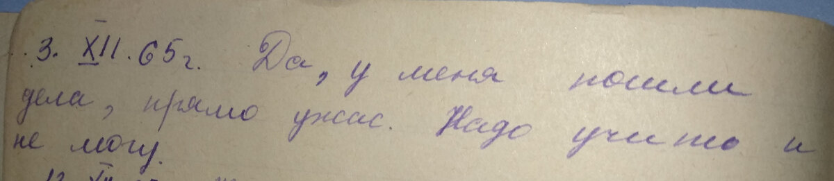 Третья запись Дневника матери