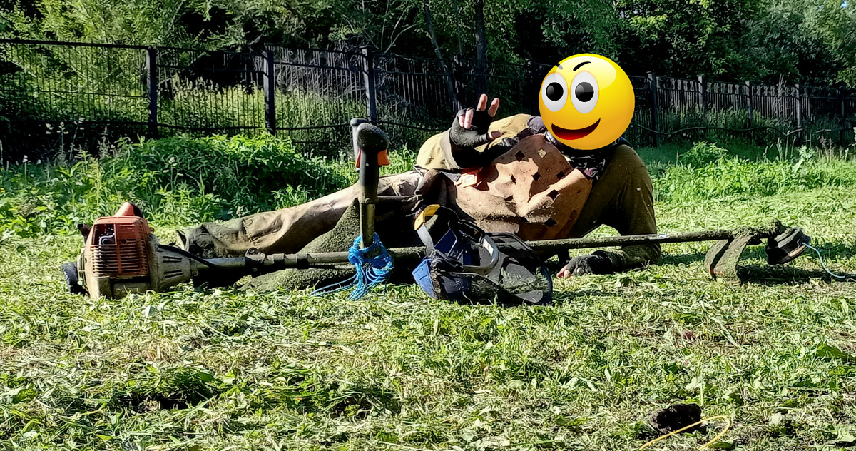 Фото автора.