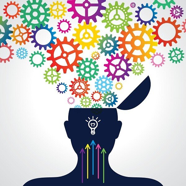 В какое время наш мозг работает и учится эффективнее всего? | Brain ...